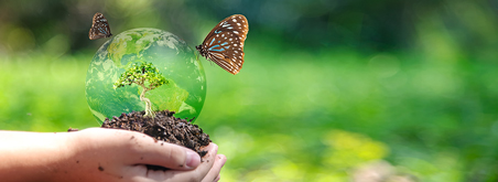 Miniaturbild Schmetterling auf Glaskugel Miniaturbild Schmetterling auf Glaskugel